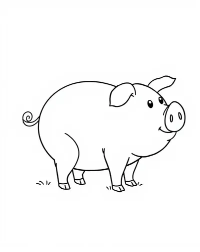 Cute Farm Pig