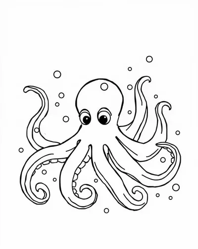 Cute Octopus