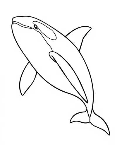 Orca Whale