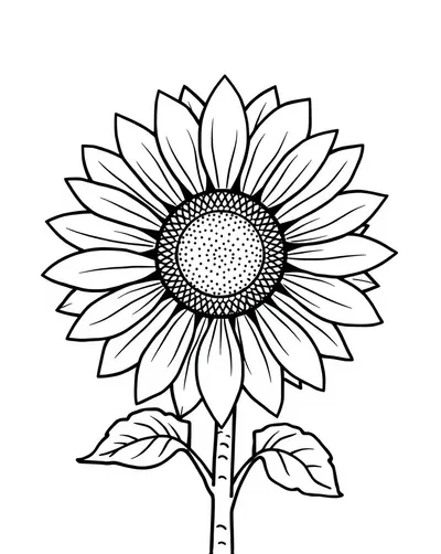 Radiant Sunflower